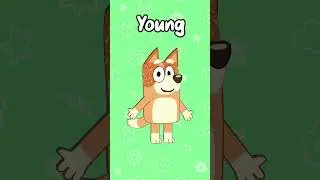 Изучаем противоположности с Bluey #дети #английский #начинающий #образование