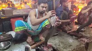 Big Red Silver Carp Cutting & Cleanning Skills In Bangladesh Fish Market | Fish Cutting Skills
