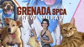 GSPCA painting their new mural 🐈🧡🐕