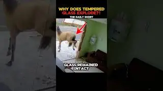 Почему закаленное стекло взрывается при повреждении? &mdash; Причина, по которой стекло разбивается