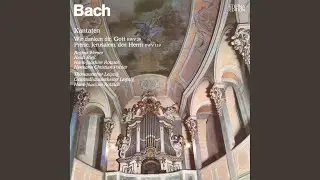 Wir danken dir, Gott, wir danken dir, BWV 29: Sinfonia