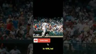 Thurman Munson: A Baseball Star's Tragic Fate