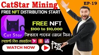 CatStar NFT Distribution Start | How to get free NFT from CatStar Mining