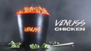 Venuss - Chicken (Visualizer)