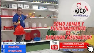 CÓMO ARMAR Y FUNCIONAMIENTO DE BEBEDERO AUTOMATICO DE CAMPANA.