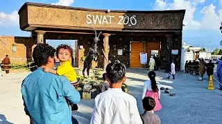 Swat Zoo