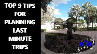 Top 9 tips for planning a last minute Disney trip