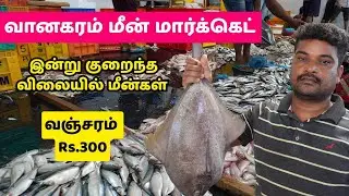வானகரம்  மீன் மார்க்கெட் 🐟🐠 | Today&rsquo;s Fish Market Price #kasimedu #vanagaram  #viralvideo #vanjiram