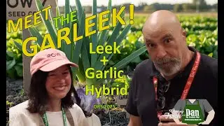 Знакомьтесь, Гарлик! Гибрид лука-порея и чеснока от компании Row 7 Seed Company | Dan The Produce...