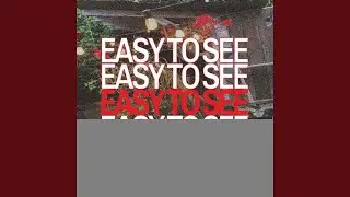 Easy To See