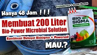 CUMA 48 JAM JADI.❗❗ MEMBUAT 200 LITER BIOPOWER MICROBIAL SOLUTION KOMBINASI BIOSIGMA & POWERSOIL