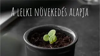 A lelki n&ouml;veked&eacute;s alapja - 1 P&eacute;ter 2:1-5 - 2021. 09. 05. d&eacute;lut&aacute;n