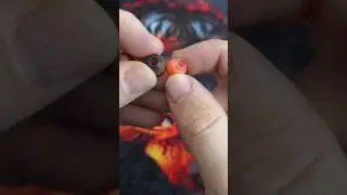 МАНДАРИНОВОЕ РАЗНООБРАЗИЕ 🍊 MandarinEs MiSodiko & KEYSION KS-ErMao ❤️&zwj;🔥 КЛАССНЫЕ ГИБРИДНЫЕ АМБУШЮРЫ!