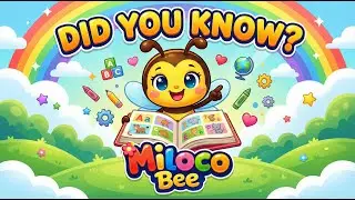 Did You Know? Fun Facts About Sharks, Whales & Tortoises | 🐝 Miloco Bee