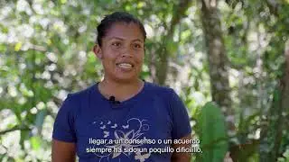 PAFT: la mirada de los territorios indígenas al futuro