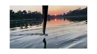 Dehing River