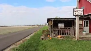 Honeyrun Farms: A Leap of Faith