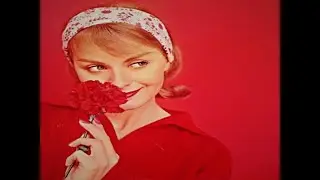 mitchell ayres orchestra - sweet and lovely - 1956