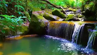 Meditation Music 🎶 with Gentle Stream 🌊 and Light Piano for Inner Peace and Sleep Aid