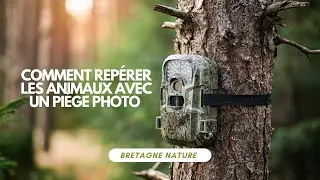 Comment rep&eacute;rer les animaux avec un pi&egrave;ge photo | Ma m&eacute;thode terrain