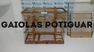 Gaiola com Alçapão multicaptura