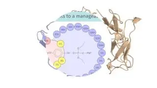 QM/MM-driven abzyme maturation in one minute