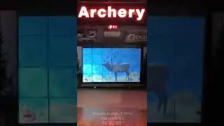 Impulse Archery Video Target Simulator Big Shot Targets