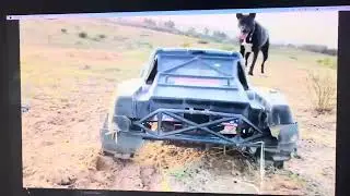 Dog chase RC Car. Maico and Deranger 🎵 