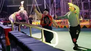 Ten Elephants at 2019 Hadi Shrine Circus: Opening Parade: Elephants Led By Armando Loyal