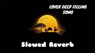  Romantic Lover Deep Filling Song Slowed Reverb