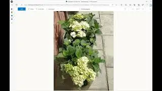 Power Automate - How to read SQL database images and upload images to SharePoint