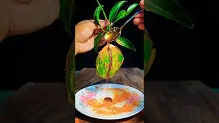 Mango Masala Recipe | Summer Special Spicy & Tangy Mango Dish🤤#shorts #food #mango #trending