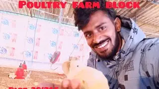 Poultry Farm Block 🐥 | Mini Vlog Day 28/365 | Farm Life Reality@vickybaba1435 like and subicribe