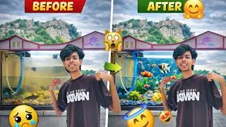 Finally Back After a Year 🥹 Fish Tank Full Cleaning & Makeover 🐟🧼||Ep-01