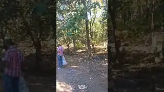 62th Week Plastic Free Forest Cleaning Drive | Humanity First NGO #alfezbhatti