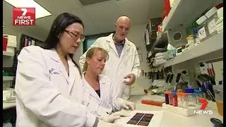 7 News Sydney - Type 1 diabetes islet transplant story