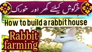 Rabbit farming||Rabbit hutch||Rabbits cage and it's food