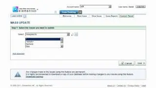 How to use Mass Update