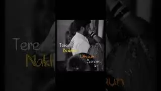 Palat - tera hero idhar hai🤍🌈💫 lofi song status #love #couplegoals #shorts #video #slowed
