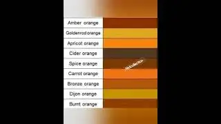 ORANGE color Shades/orange k itne shades😳😳#orange#color#shade@nidcollection