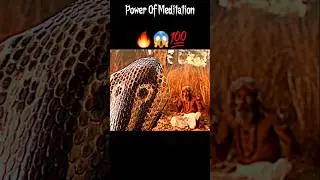 Power Of Meditation 🧘&zwj;♂️ 💯😱🔥||Gautam Buddha Status #shorts #ytshorts #short #trending