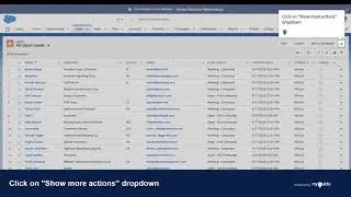 How to mass update leads status in Salesforce