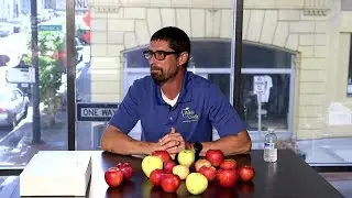 Атмосфера: всё о яблоках с фермером Стивом