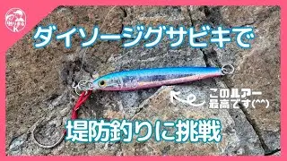 ダイソージグサビキで堤防釣りに挑戦　#釣り #ダイソールアー #ダイソージグ #海釣り