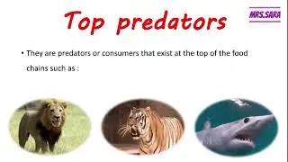 primary 5 , science , concept 3, lesson 1,2 (protecting ecosystem)