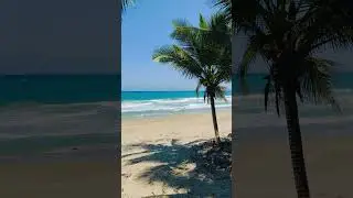 Tropical Paradise &ndash; Waves, Palms & Endless Ocean | ASMR #beach  #ocean #waves #travel #paradise