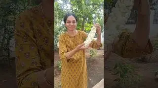🌸Jasmine harvest💐☘️(RESULTS OF PSO6)To order our farm fresh products click www.organicfarmer.store👍😊