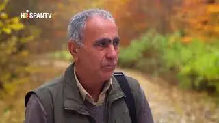 Bosques Hircanos de Ir&aacute;n, Patrimonio de la Humanidad de Unesco