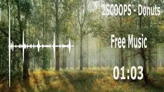 2SCOOPS - Donuts ☑ Free Music