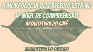 87. A morfologia do cafeeiro está no 4o. nível de compreensão